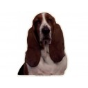 Basset Hound. Vælg: klistermærke, nøglering, broche, slipsenål, mm.