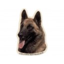 Malinois/Belgisk Hyrdehund, hv. Vælg: klistermærke, nøglering, broche, slipsenål, mm.