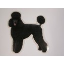 Pudel, sort, st. Vælg: klistermærke, nøglering, broche, slipsenål, mm