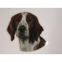 Welsh Springer Spaniel, hv. Vælg: klistermærke, nøglering, broche, slipsenål, mm