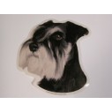 Dværgschnauzer, sort/sølv. Vælg: klistermærke, nøglering, broche, slipsenål, mm