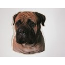 Bullmastiff, hv. Vælg: klistermærke, nøglering, broche, slipsenål, mm