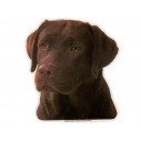 Labrador Retriever, brun, hv. Vælg: klistermærke, nøglering, mm.
