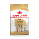 Royal Canin Bulldog (Engelsk) Adult - over 12 måneder