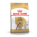 Royal Canin Puddel Adult