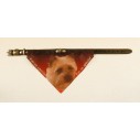 Bandana Halsbånd med motiv af Cairn Terrier