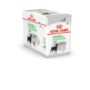 Royal Canin vådfoder Digestive Care 12x85g