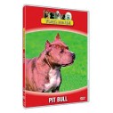 Vores hunde - Pit Bull