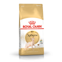 Royal Canin Sphynx Adult 2kg