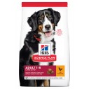 Hill's Science Plan Adult. Large Breed. Chicken. 12kg.