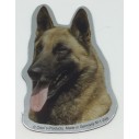 Magnet med Malinois