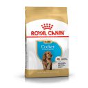 Royal Canin Cocker Puppy - op til 12 måneder