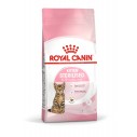Royal Canin Kitten Sterilised til steriliserede/kastrerede killinger op til 12 måneder. 2kg.