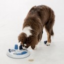 Dog activity flip board. 