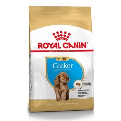 Royal Canin Cocker Junior - op til 12 måneder