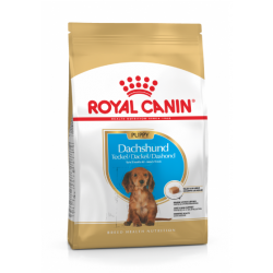 Royal Canin Dachshund / Gravhund Puppy - op til 10 måneder (1,5 kg)