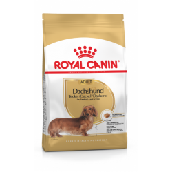 Royal Canin Dachshund / Gravhund Adult - over 10 måneder
