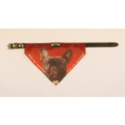 Bandana halsbånd med motiv af Fransk Bulldog. 