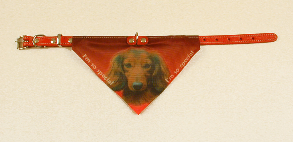 Bandana Hundehalsbånd med motiv af Gravhund