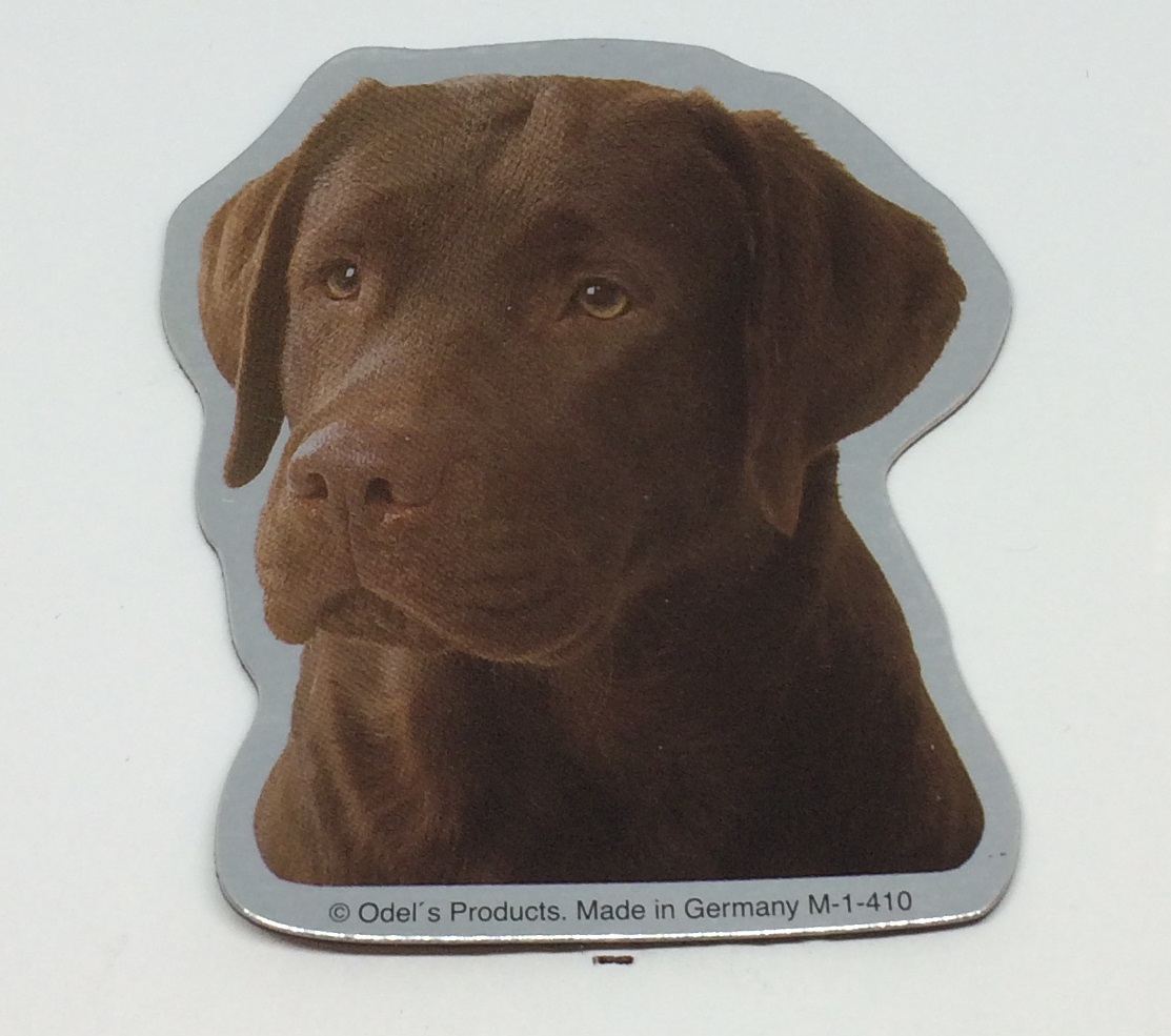 Magnet med Labrador, brun.