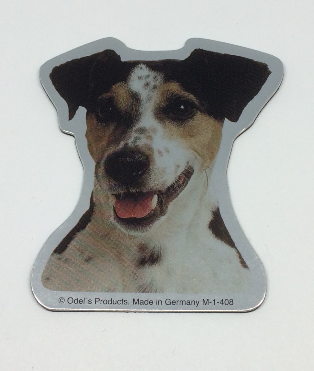 Magnet med Jack Russell Terrier